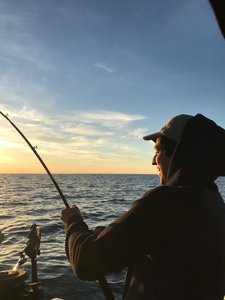 Serenity found on Lake Ontario